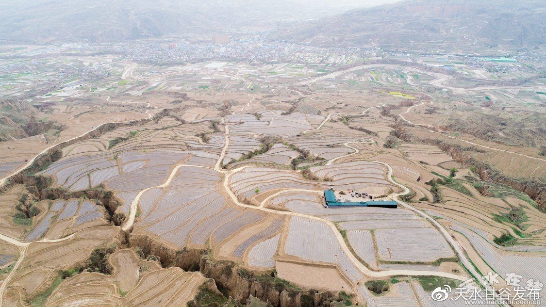 抖音平台自助下单：电商新趋势自助购物模式兴起_快手自助下单平台软件