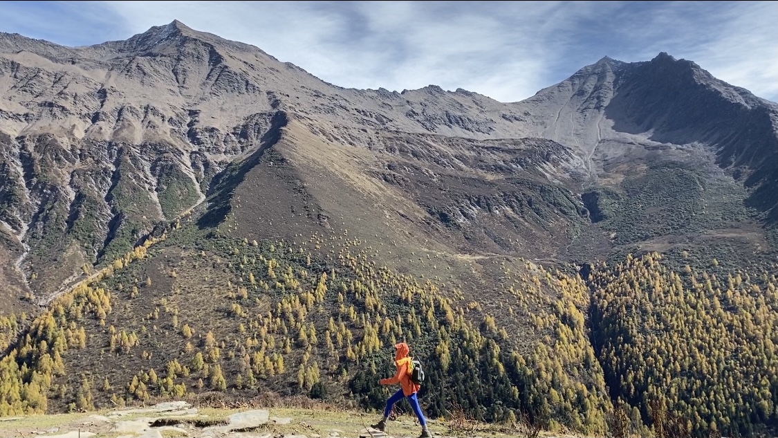 平台自助下单ks